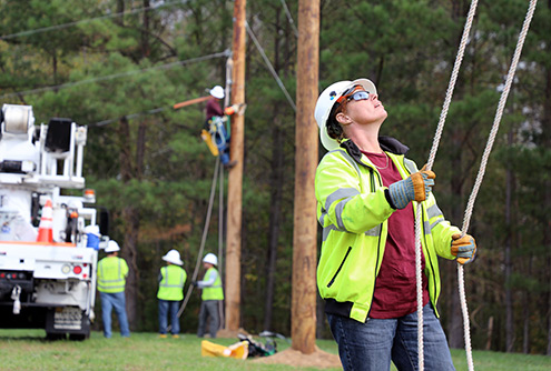 Electric Line Technician students working on telephone poles